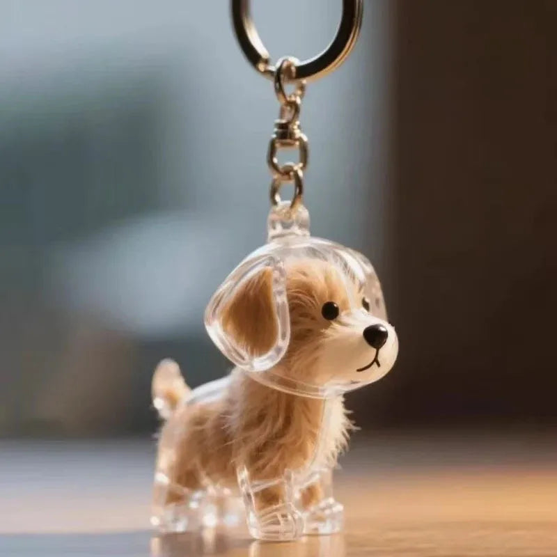 Transparent Cat/Dog Hair Collection Capsule Keychain Kawaii Memorial Pet Cat Dog Hair Capsule for Keychain DIY Pendant Accessory