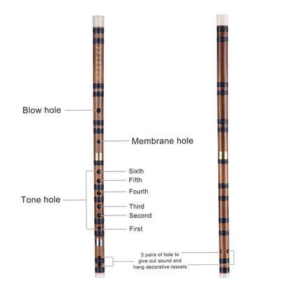 Pluggable Handmade Bitter Bamboo Flute/Dizi Traditional Chinese Musical Woodwind Instrument in E Key for Beginner Study Level