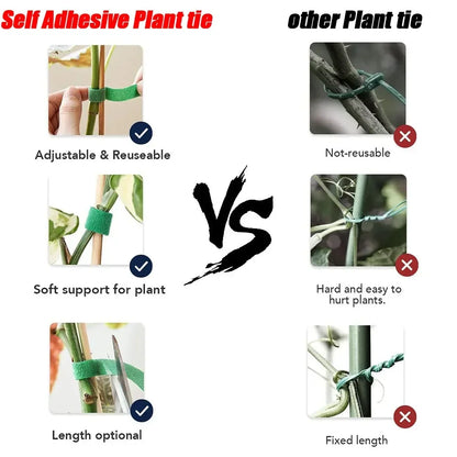 Plant Tie Adjustable Self Adhesive Plant Nylon Cable Hook Loop Support Garden Twine Bandage Reusable Fastener Tape Strips