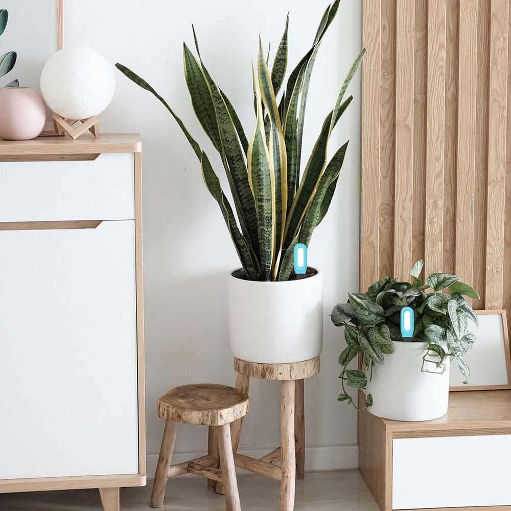 Haozee Tuya Smart Bluetooth Soil Tester Temperature and Humidity Meter Thermo Hygrometer Garden Automation Irrigation Detector