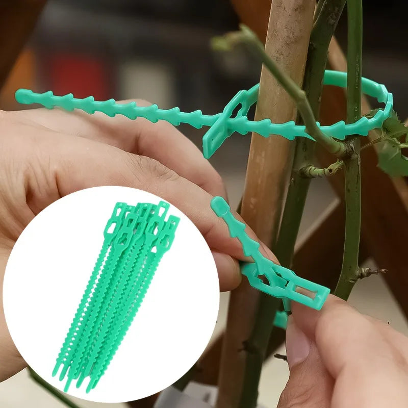 Adjustable Plastic Plant Cable Ties Reusable Self-locking Ties Garden Plant Vine Supports Cable Ties Stem Tomato Clip Fastener