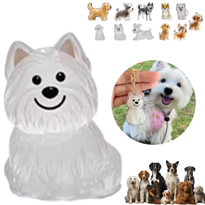 Transparent Cat/Dog Hair Collection Capsule Keychain Kawaii Memorial Pet Cat Dog Hair Capsule for Keychain DIY Pendant Accessory