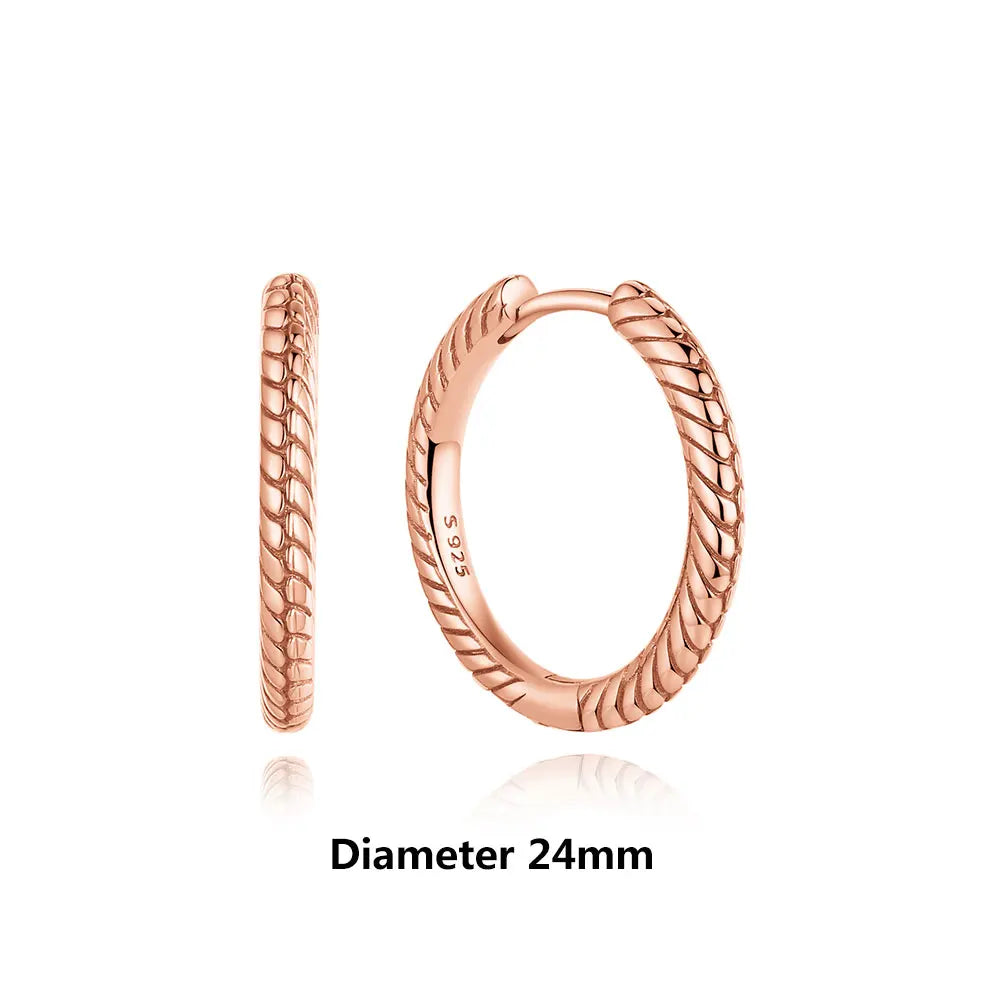 Original 925 Sterling Silver Earrings 2025 Stud Hoop Crystal Earings For Women Rose Gold Crown Heart Infinity Bee Earing Jewelry