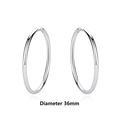 Original 925 Sterling Silver Earrings 2025 Stud Hoop Crystal Earings For Women Rose Gold Crown Heart Infinity Bee Earing Jewelry