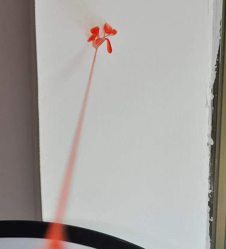 10Pcs/lot Kids Stick Slap Hands Toy Children Toy Party Supply Favors Mini Sticky Jelly Stick Slap Hands Toy Gifts Random Color