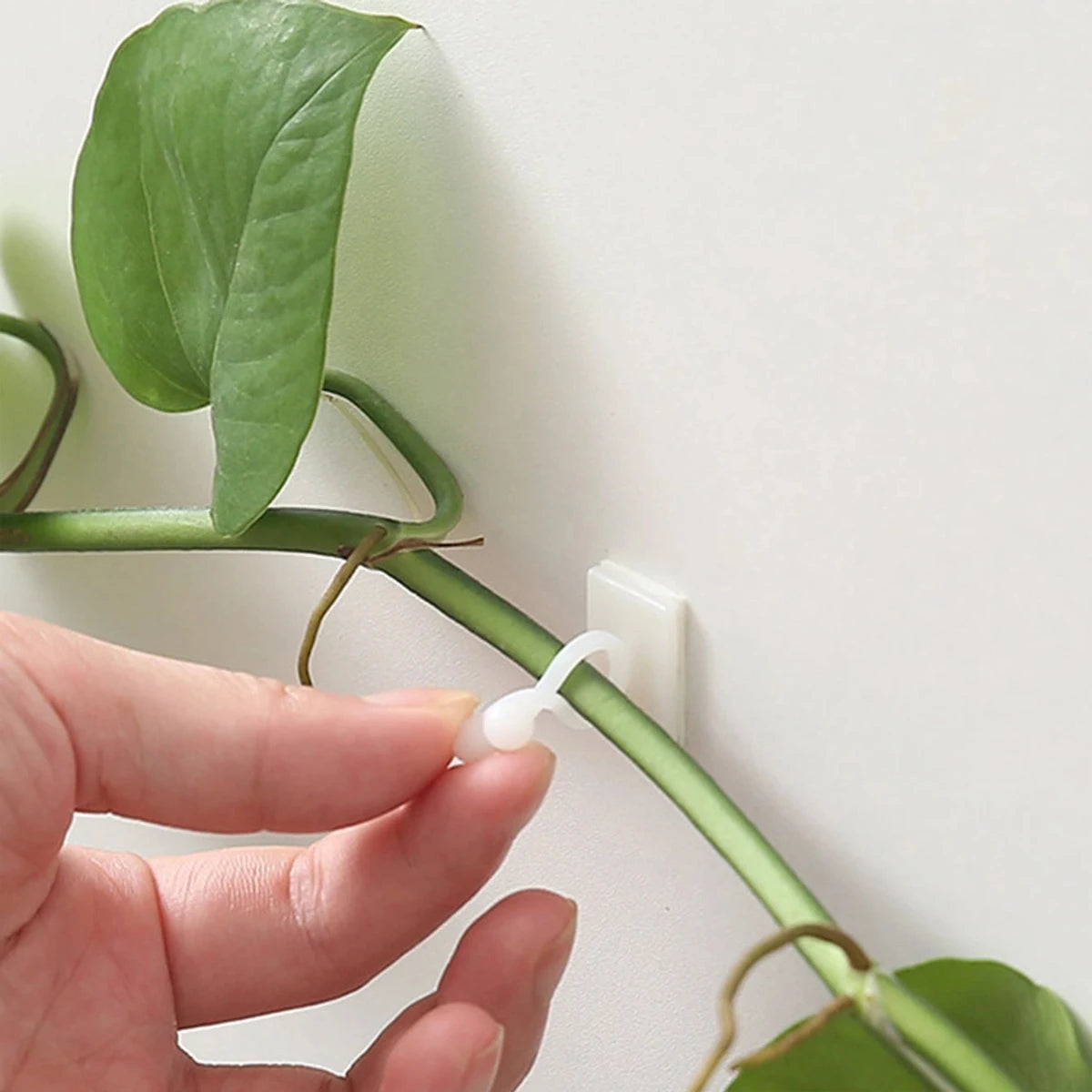 10pcs-Home Garden Plant Climbing Wall Fixture Clips Rattan Vine Fixer Self-Adhesive Plant Climbing Wall Fixed Buckle Hook